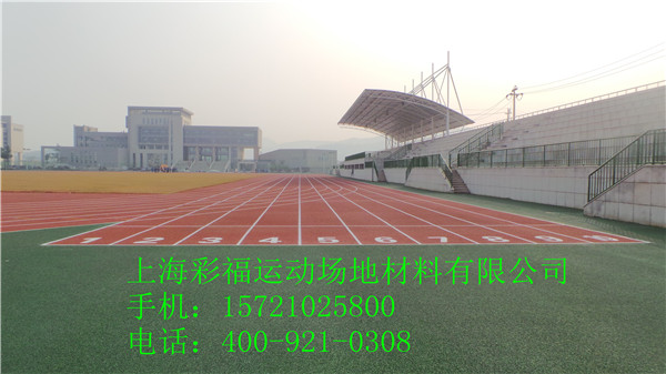 供应上海yz塑胶跑道|塑胶跑道施工建设|材料行情