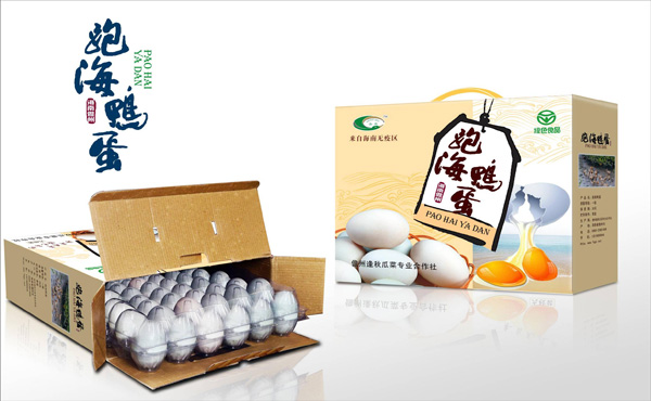 儋州农委跑海鸭蛋包装盒设计