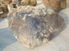 华安玉，九龙壁园林石，景观用石材 tr景观玉石