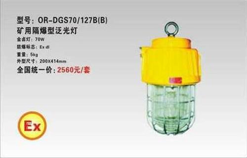 海洋王DGS70-127B(B)矿用隔爆型泛光灯