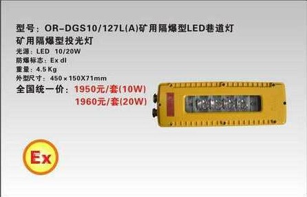 海洋王DGS10/127L(A)矿用隔爆型LED巷道灯