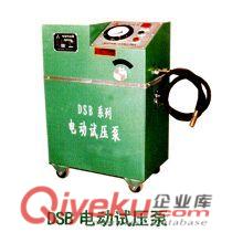 6DSB系列电动试压泵质优