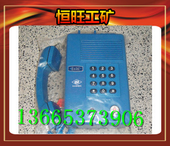 防爆电话机HAK-2