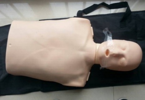 KAY/CPR100A简易型电子版半身心肺复苏模拟人- 半身CPR急救模型人-复苏训练假人