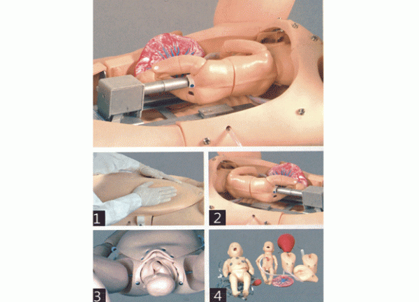康谊牌KAY-F55高级分娩与母子急救模型-分娩急救模型-产科技能培训模型