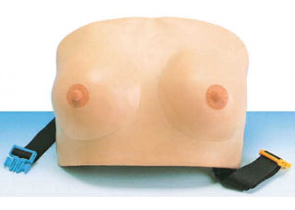 康谊牌KAY-14高级乳房检查模型（穿戴式）穿戴式乳房检查训练模型