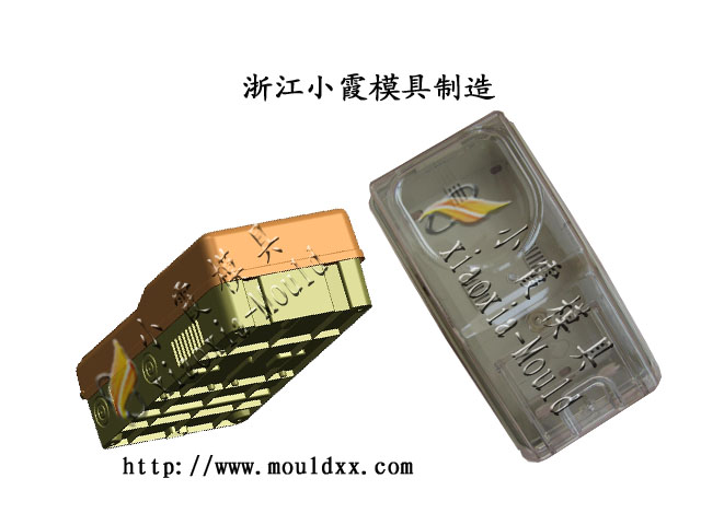 黄岩​塑料电表箱模具，专业加工​透明电表箱模具、电表模具厂家​