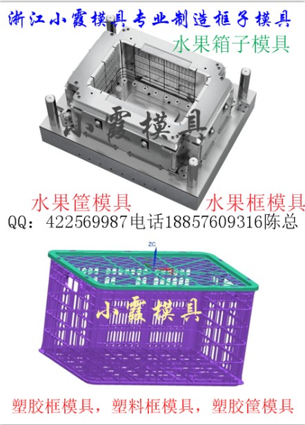 浙江塑料模具一次性工具箱塑胶模具