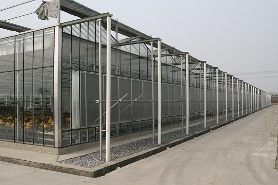 专业承揽各种钢结构智能农业温室大棚、网架花卉温室、钢结构农业观光生态园工程设计、施工