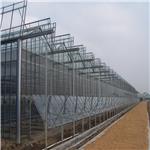 陕西玻璃温室生产厂家