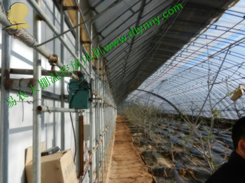 最耐用的大棚温控放风设备易农