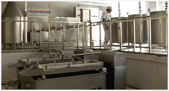 豆类加工设备-浙江省中禾机械