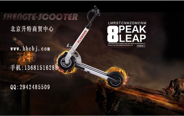 北京电动滑板车品牌那个好？