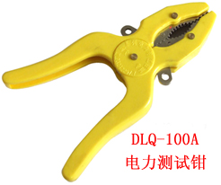 DLQ-100A电力测试钳