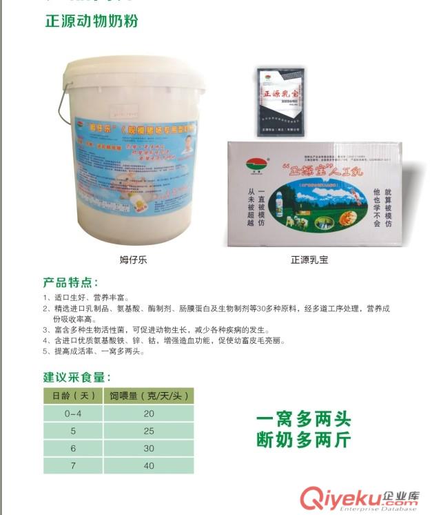 台湾正源gd乳猪奶粉正源宝人工乳进口动物配方奶粉